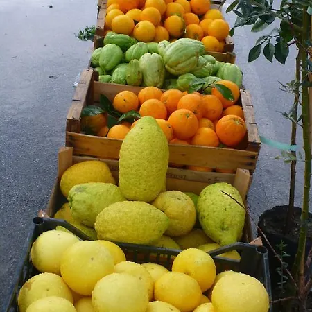 Apartament Casa Bianca Grande *